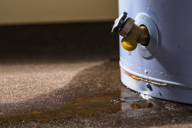 Best Local water damage restoration  in Chippewa Falls, WI