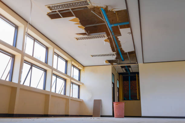 Best Professional water damage repair  in Chippewa Falls, WI