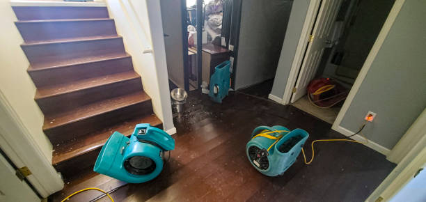 Best Commercial water damage restoration  in Chippewa Falls, WI