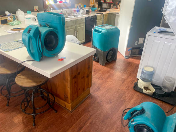 Best Water damage restoration cost  in Chippewa Falls, WI