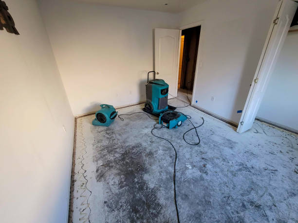 Best Ceiling water damage repair  in Chippewa Falls, WI