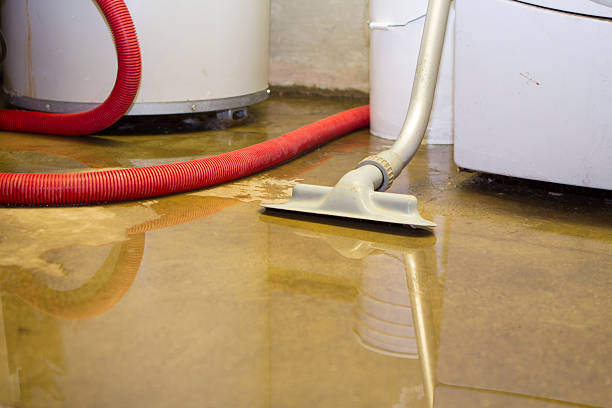 Best Basement water damage restoration  in Chippewa Falls, WI