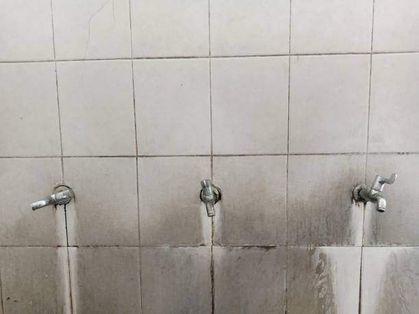 Best Water damage contractors near me  in Chippewa Falls, WI