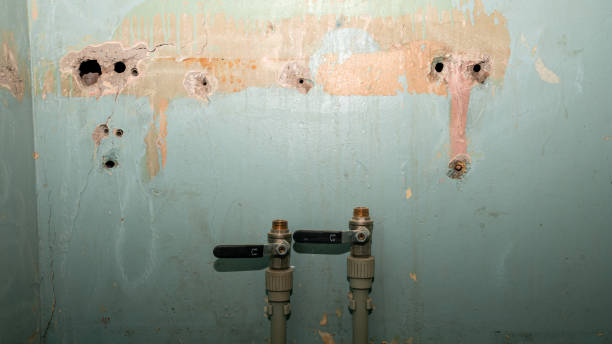 Best Flood damage cleanup  in Chippewa Falls, WI