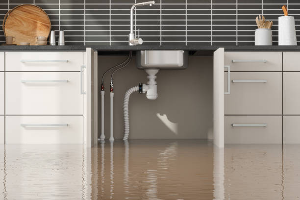  Chippewa Falls, WI Water damage restoration Pros