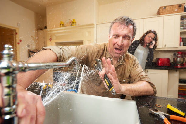 Best Flood damage cleanup  in Chippewa Falls, WI